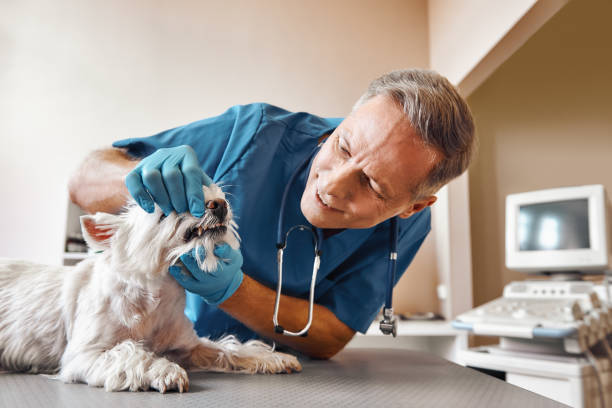 Best Emergency Dentist for Knocked-Out Tooth in Kerman, CA